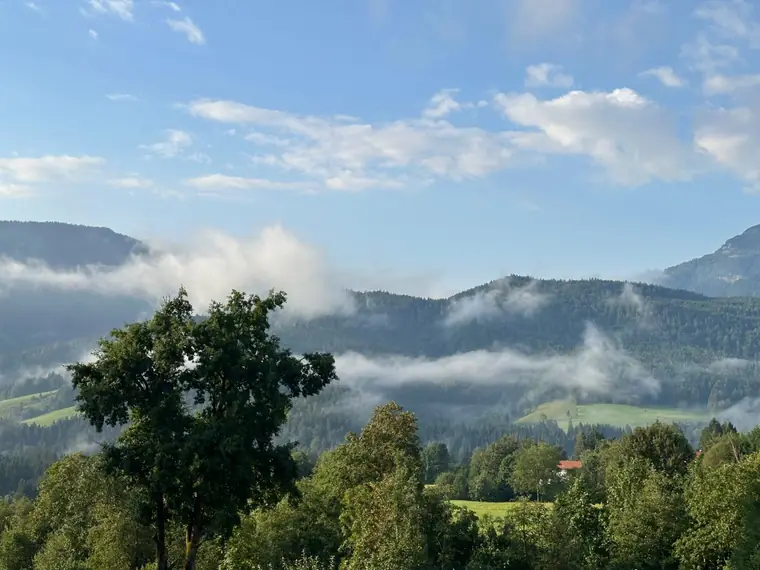 Morgennebel zieht über die Bergwälder und Wiesen im Tal