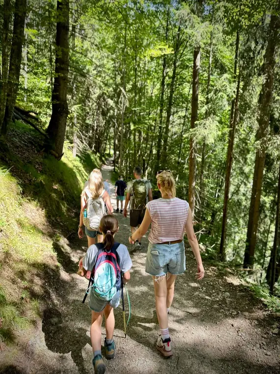 Die Gruppe wandert hintereinander einen Weg durch den Bergwald hinauf
