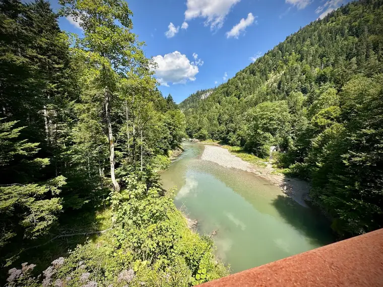 Türkisgrüner Fluss in der Klamm, von oben durch die Bäume gesehen